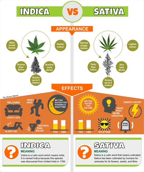 sativa vs indica